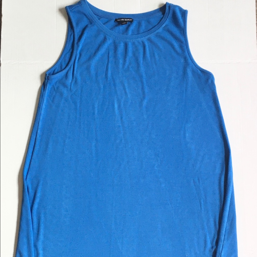 Blue Sleeveless Hilary Radley Dress